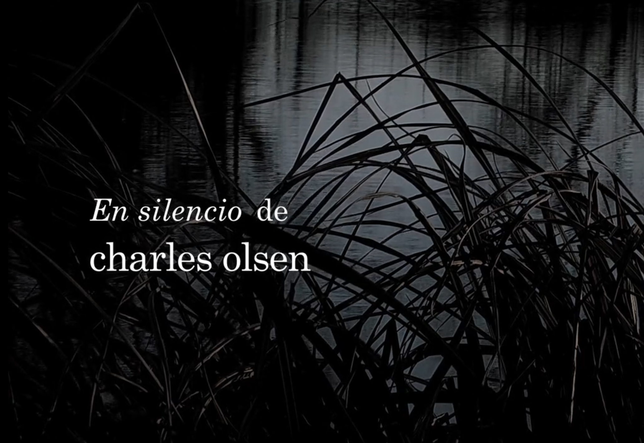 Capa da galeria En Silencio