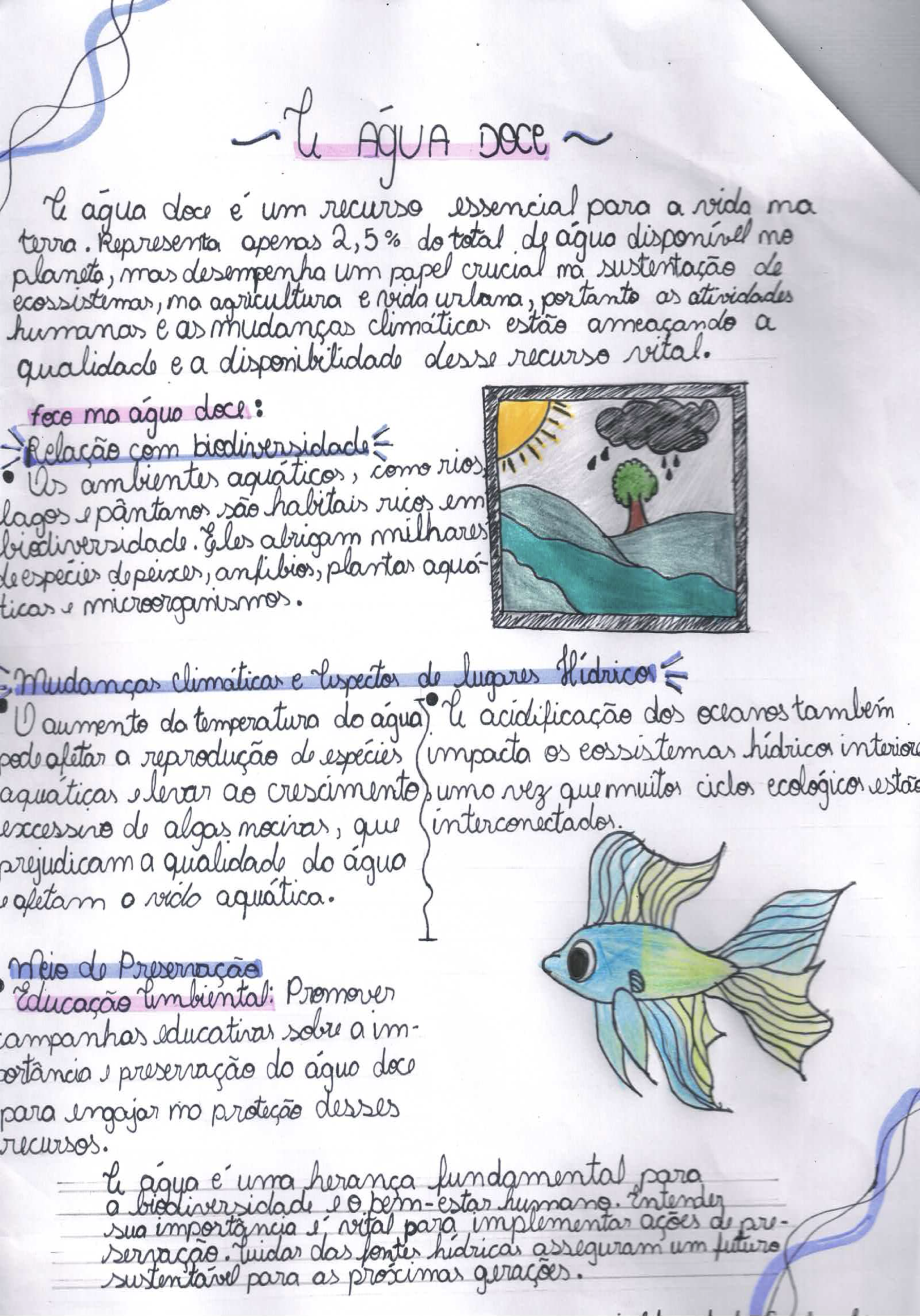 Título da Obra